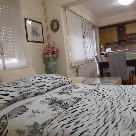 Spacious 80M2 Apartment In The Center Ljubuski Ngoại thất bức ảnh